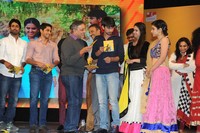Uyyala Jampala Movie Audio Release Photos